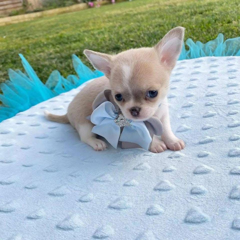 Charlie