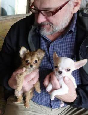 Family with chihuahua