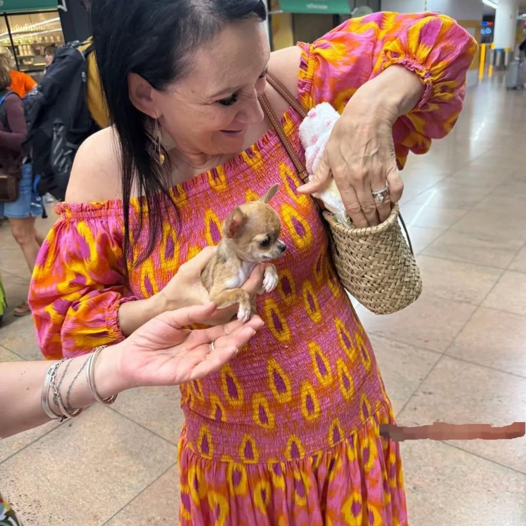 Family with chihuahua